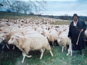 IMG_20130213_091842-1