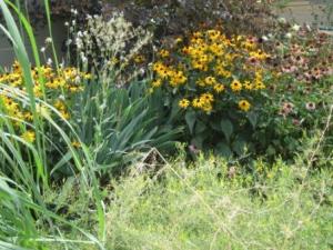 ???????????????????????????????