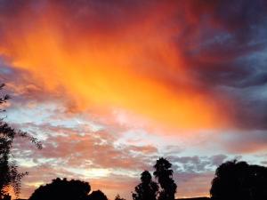 10559200_10203545280864367_20298450_n