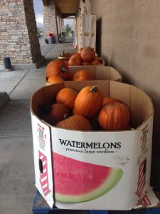 pumpkins 12037982_10153624964792744_7343678008214868110_n