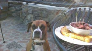 self control12208634_10153746210601912_774308151025824597_n