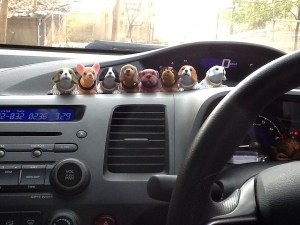 mixdog3.1_zpssdmivvls